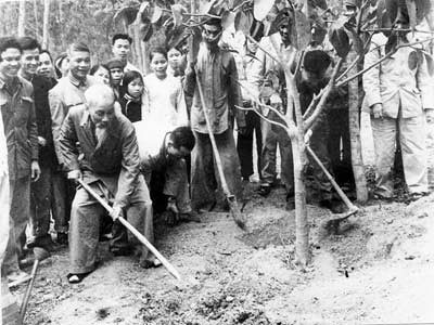 Bác Hồ trồng cây đa tại xã Vật Lại, Ba Vì, Hà Tây (nay là Hà Nội) ngày 16/2/1969. Ảnh: TL